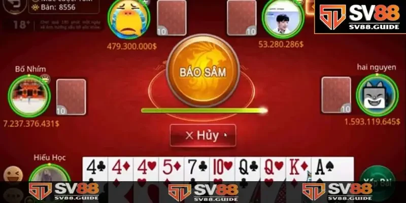 Giới thiệu tổng quát về xâm lốc