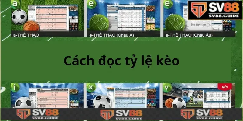 Cách đọc tỷ lệ kèo